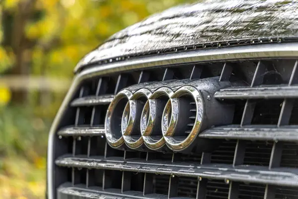 Решетка радиатора Ауди